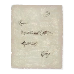 Carta de amor, serie 2 Nº 2, 1972. 63×51 cm, yeso, lápiz y acuarela sobre papel preparado.