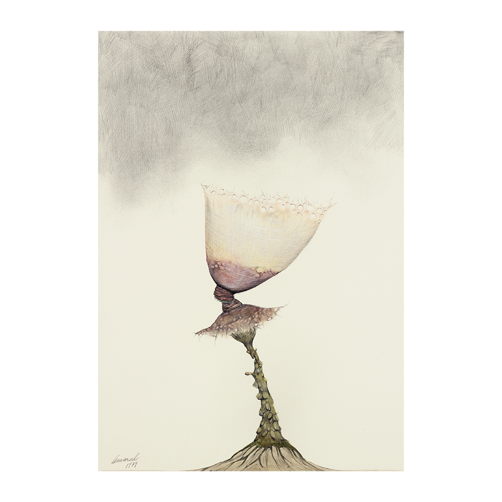 Flor invisible, plancha 33, 1979. 57×38 cm, acuarela y tinta sobre papel.