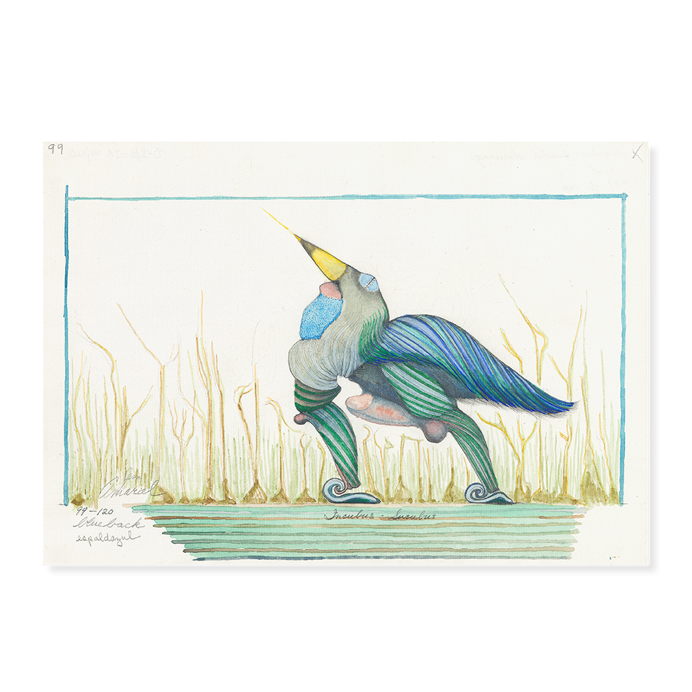 Phallusus Nº 2, Íncubos y súcubos Nº 099: Espalda azul, 1990. 20×29 cm, lápiz y acuarela sobre papel.