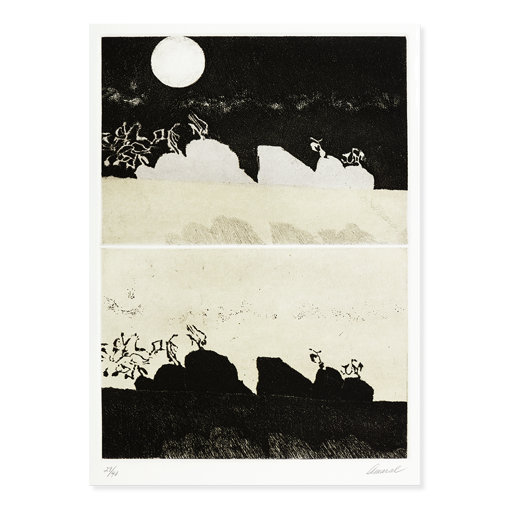 Contrición de luna reflejada, 23/40, 1988. 70×50 cm, grabado: aguafuerte, punta seca y agua tinta.