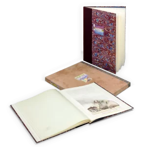 Crecimiento metamórfico, 1978. 37×28×2,5 cm, mixta.