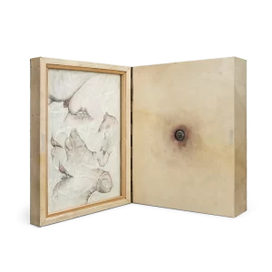 Caja pesada pequeña, 1973. 27×22×9 cm, mixta.
